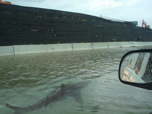 Hoaxed pictures of sharks in the street could very well be a thing of the future.....maybe...