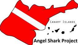 Help save the angel shark with ZSL